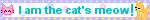 I am the cat's meow!