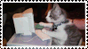 a cat typing at an old desktop