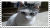 a cat with her mouth open with the word omg!