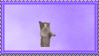 a kitten jumping